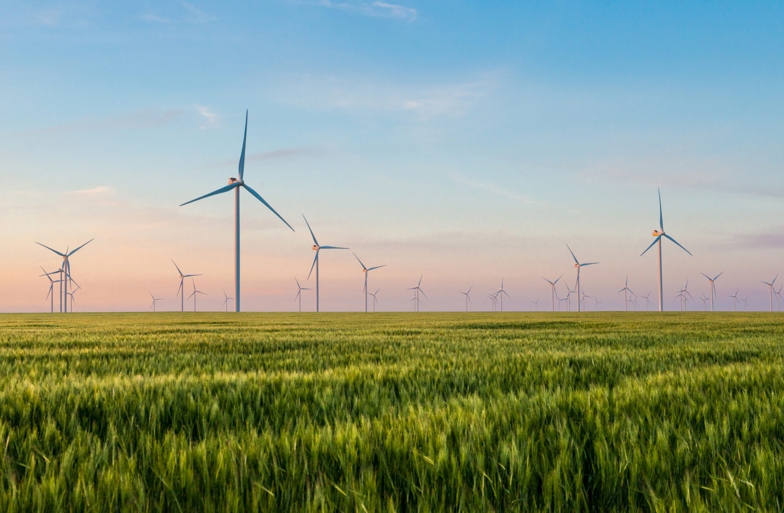 Windmills in a field.